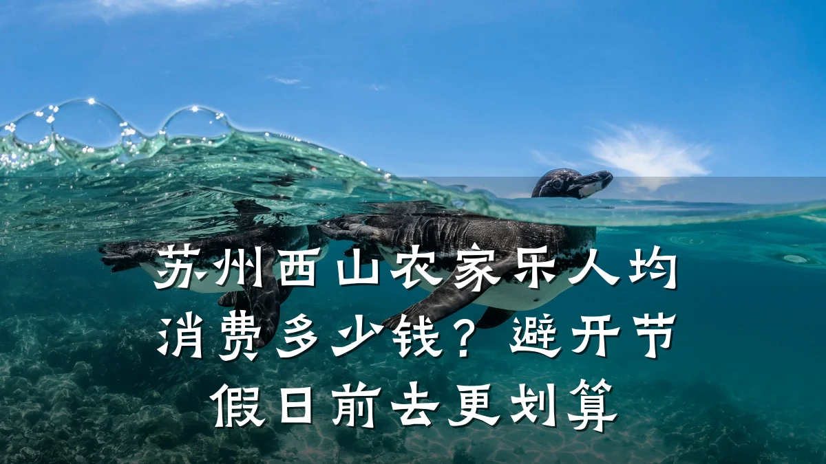 苏州西山农家乐人均消费多少钱?避开节假日前去更划算