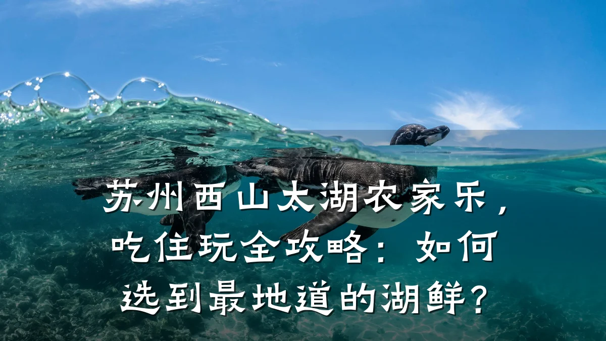 苏州西山太湖农家乐,吃住玩全攻略:如何选到最地道的湖鲜?