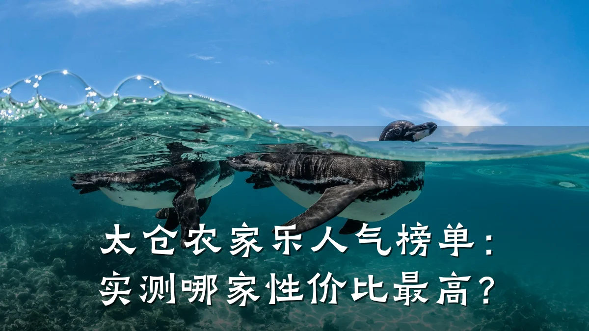 太仓农家乐人气榜单:实测哪家性价比最高?