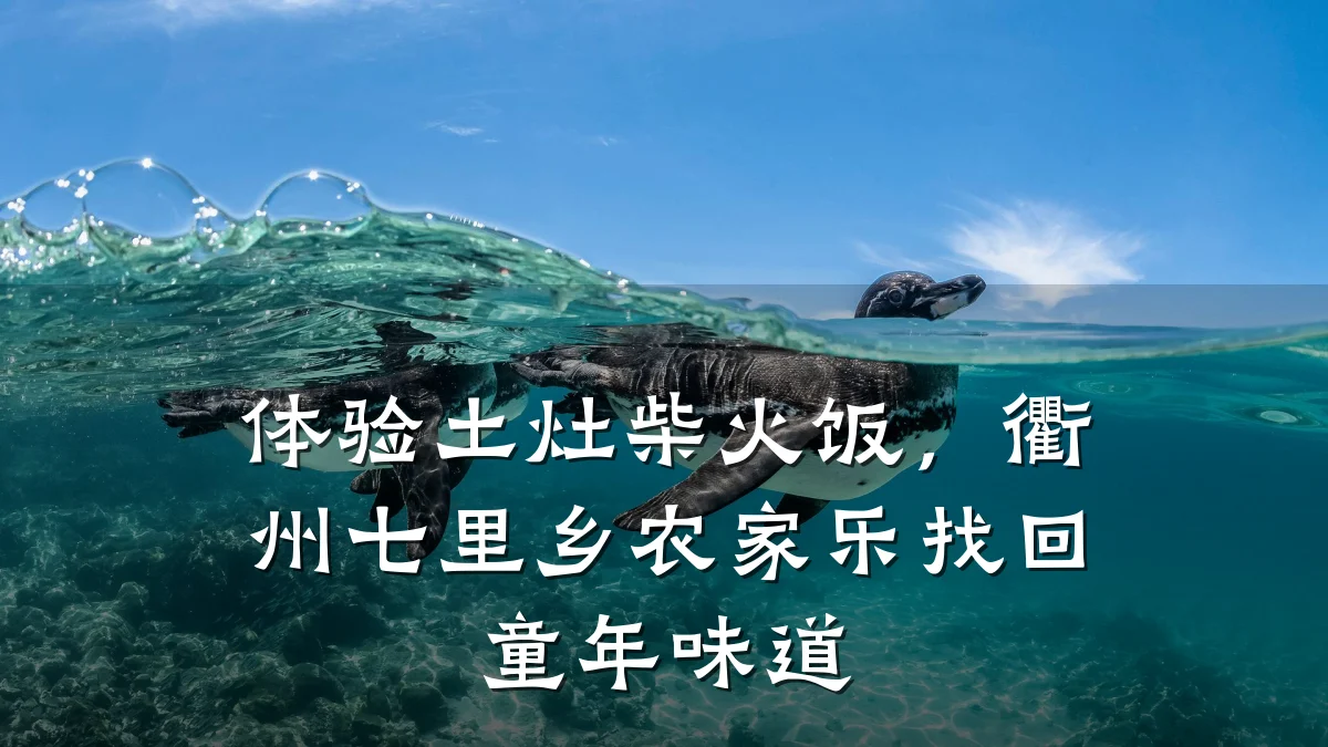 体验土灶柴火饭,衢州七里乡农家乐找回童年味道