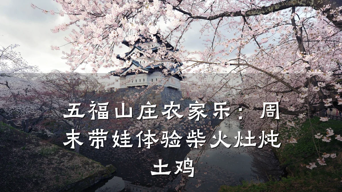五福山庄农家乐：周末带娃体验柴火灶炖土鸡