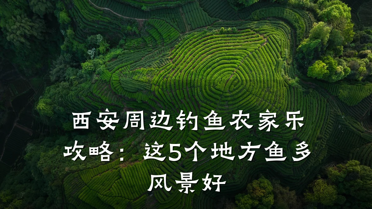 西安周边钓鱼农家乐攻略:这5个地方鱼多风景好