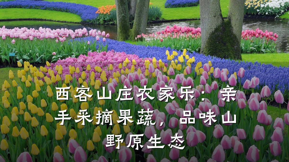 西客山庄农家乐:亲手采摘果蔬,品味山野原生态