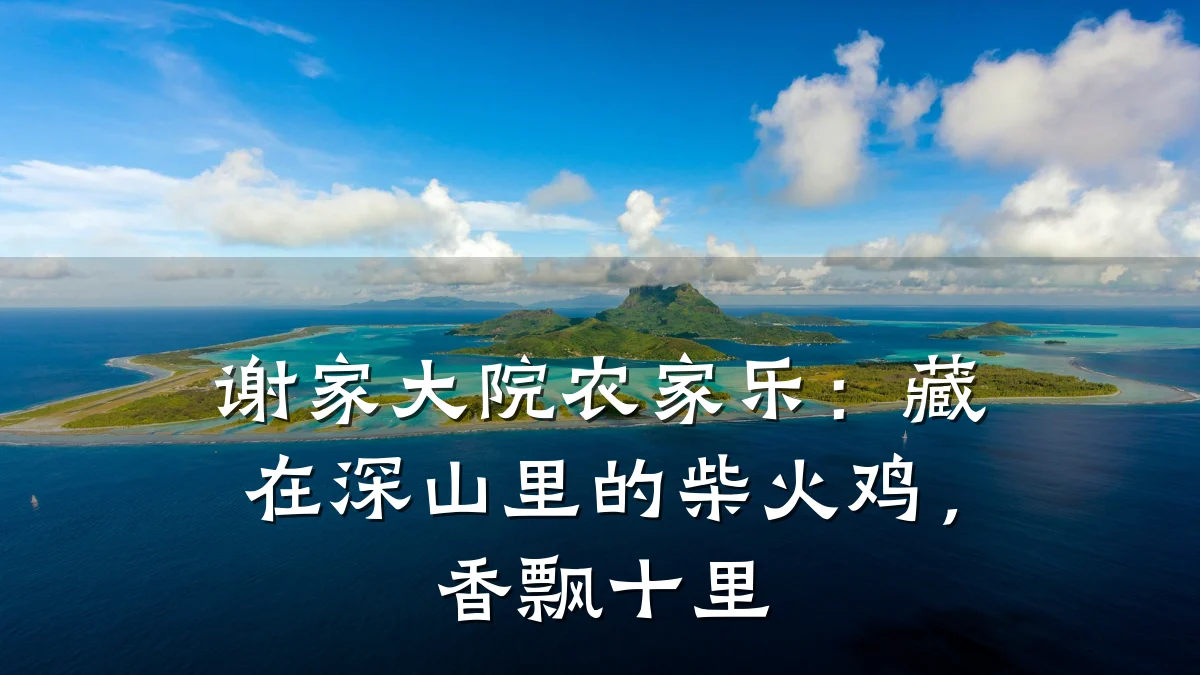 谢家大院农家乐:藏在深山里的柴火鸡,香飘十里