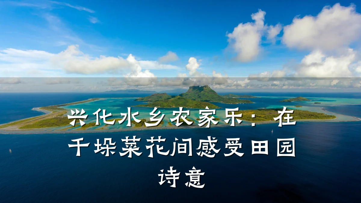 兴化水乡农家乐:在千垛菜花间感受田园诗意