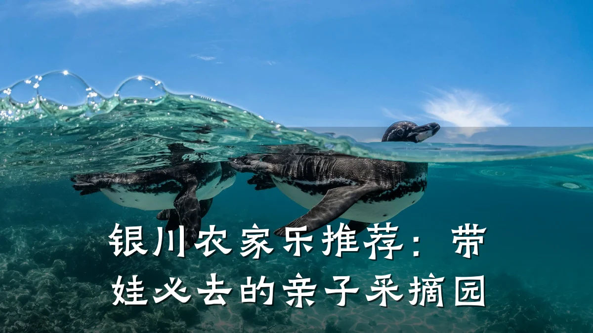 银川农家乐推荐:带娃必去的亲子采摘园