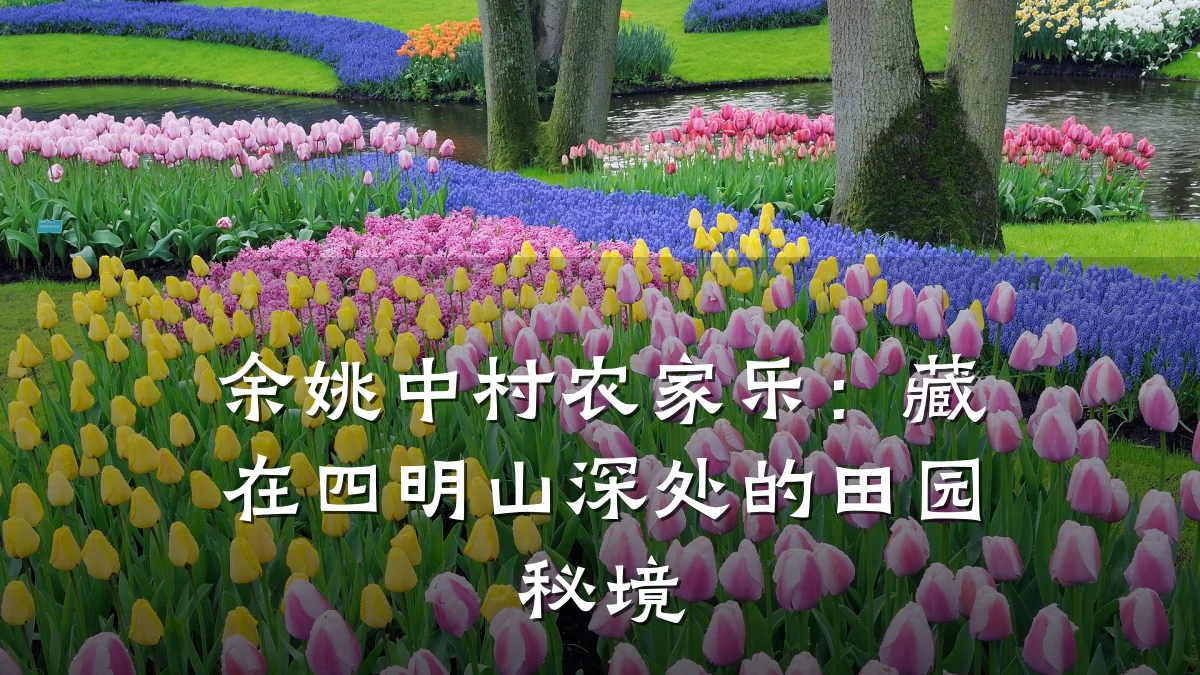 余姚中村农家乐:藏在四明山深处的田园秘境
