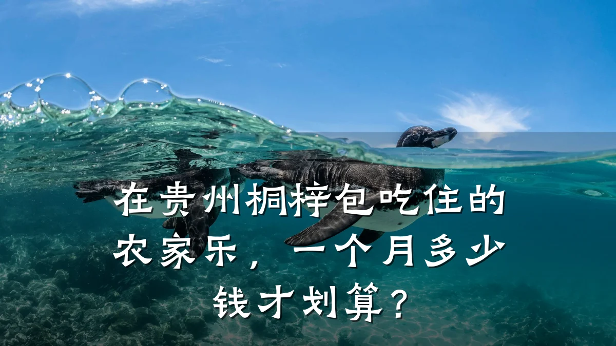 在贵州桐梓包吃住的农家乐,一个月多少钱才划算?