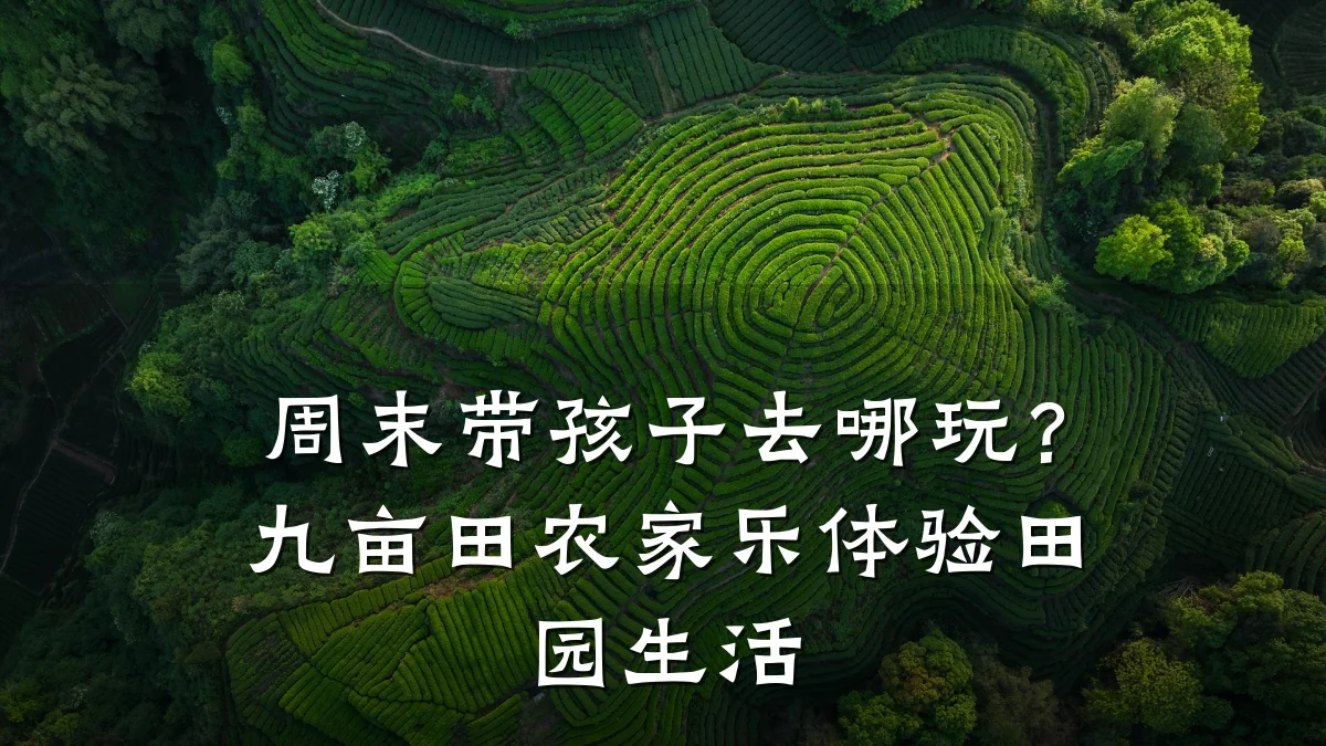 周末带孩子去哪玩?九亩田农家乐体验田园生活