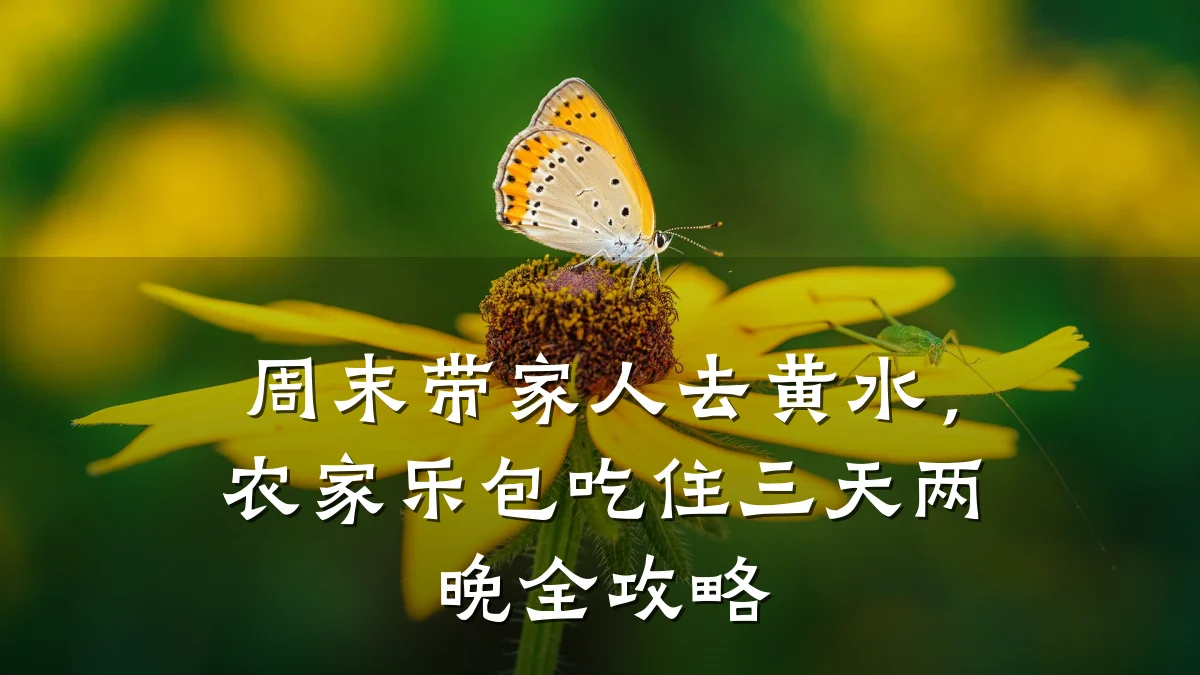 周末带家人去黄水，农家乐包吃住三天两晚全攻略