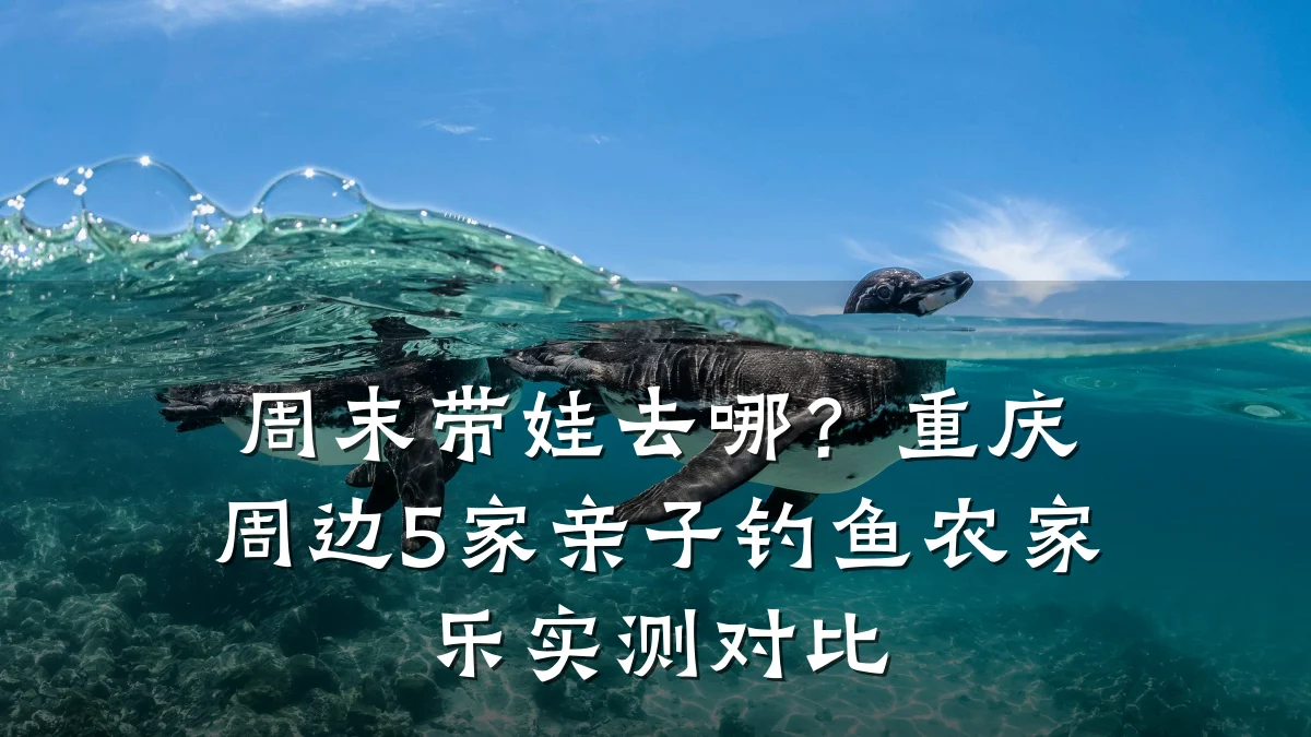 周末带娃去哪?重庆周边5家亲子钓鱼农家乐实测对比