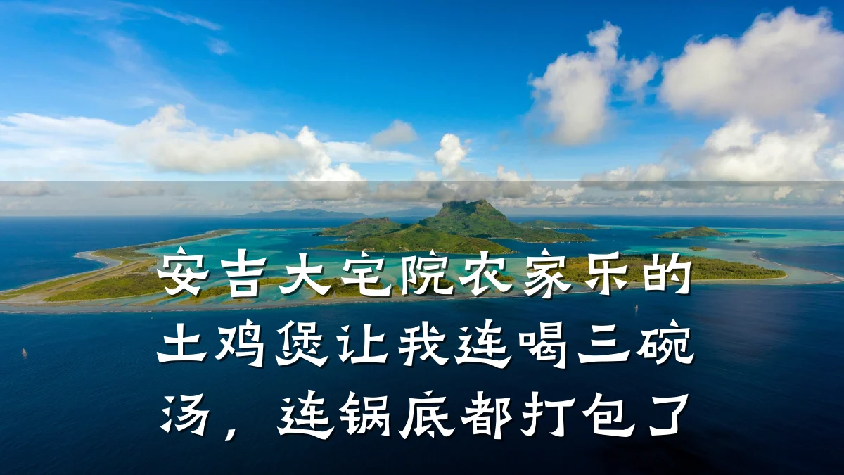 安吉大宅院农家乐的土鸡煲让我连喝三碗汤,连锅底都打包了