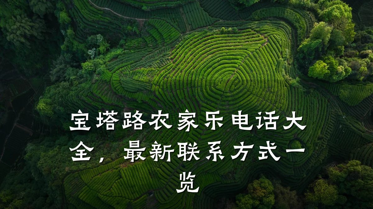 宝塔路农家乐电话大全,最新联系方式一览