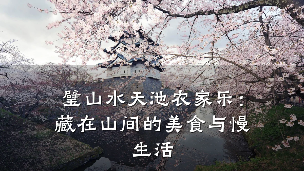璧山水天池农家乐:藏在山间的美食与慢生活