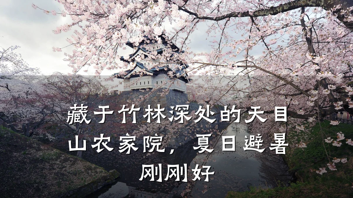 藏于竹林深处的天目山农家院,夏日避暑刚刚好