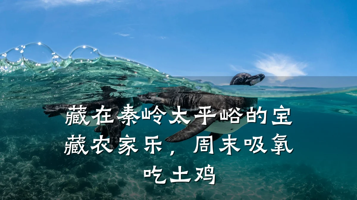 藏在秦岭太平峪的宝藏农家乐,周末吸氧吃土鸡