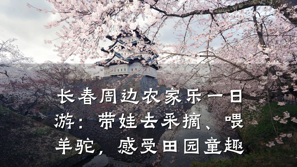 长春周边农家乐一日游:带娃去采摘、喂羊驼,感受田园童趣