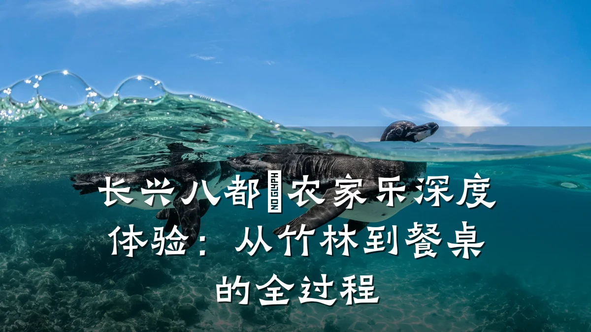 长兴八都岕农家乐深度体验:从竹林到餐桌的全过程