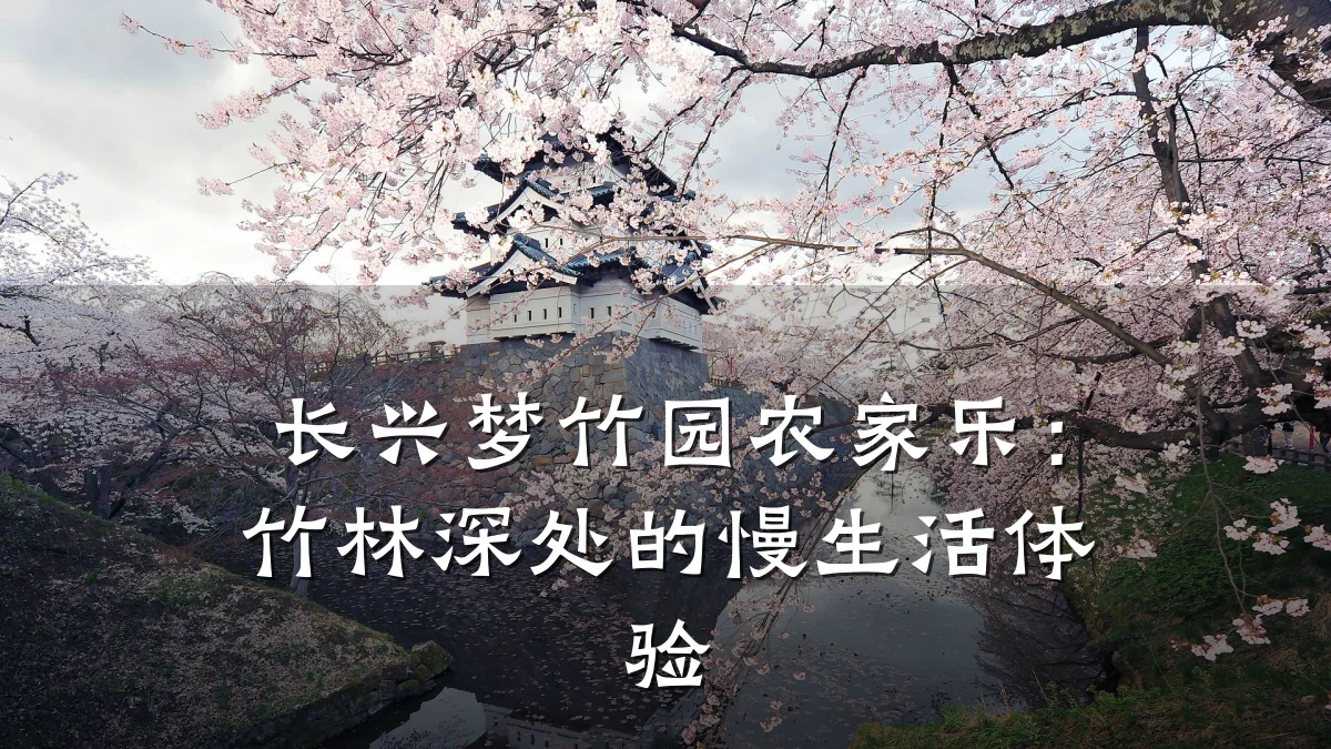 长兴梦竹园农家乐:竹林深处的慢生活体验