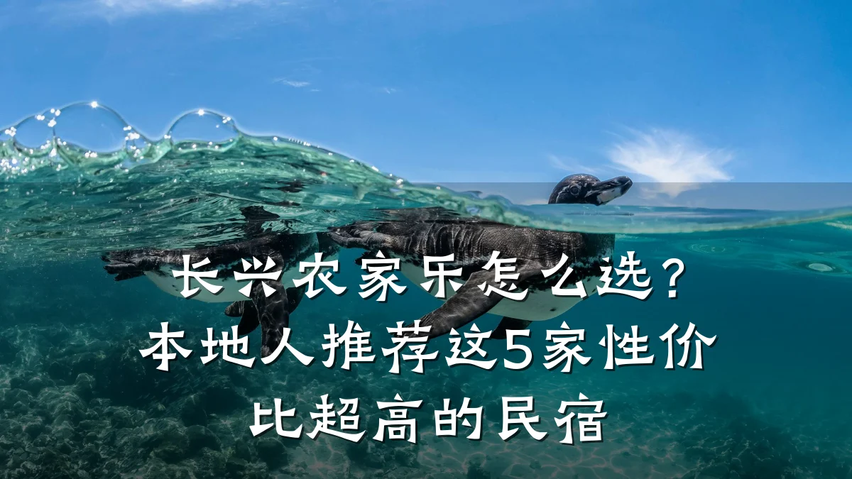 长兴农家乐怎么选?本地人推荐这5家性价比超高的民宿