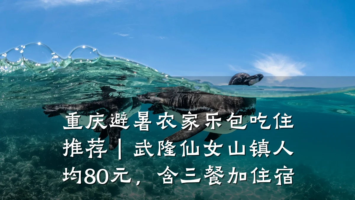 重庆避暑农家乐包吃住推荐|武隆仙女山镇人均80元,含三餐加住宿