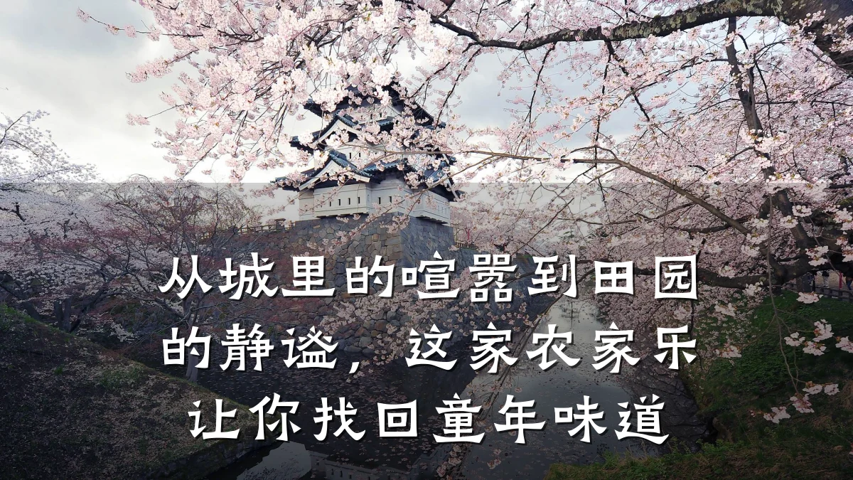 从城里的喧嚣到田园的静谧,这家农家乐让你找回童年味道