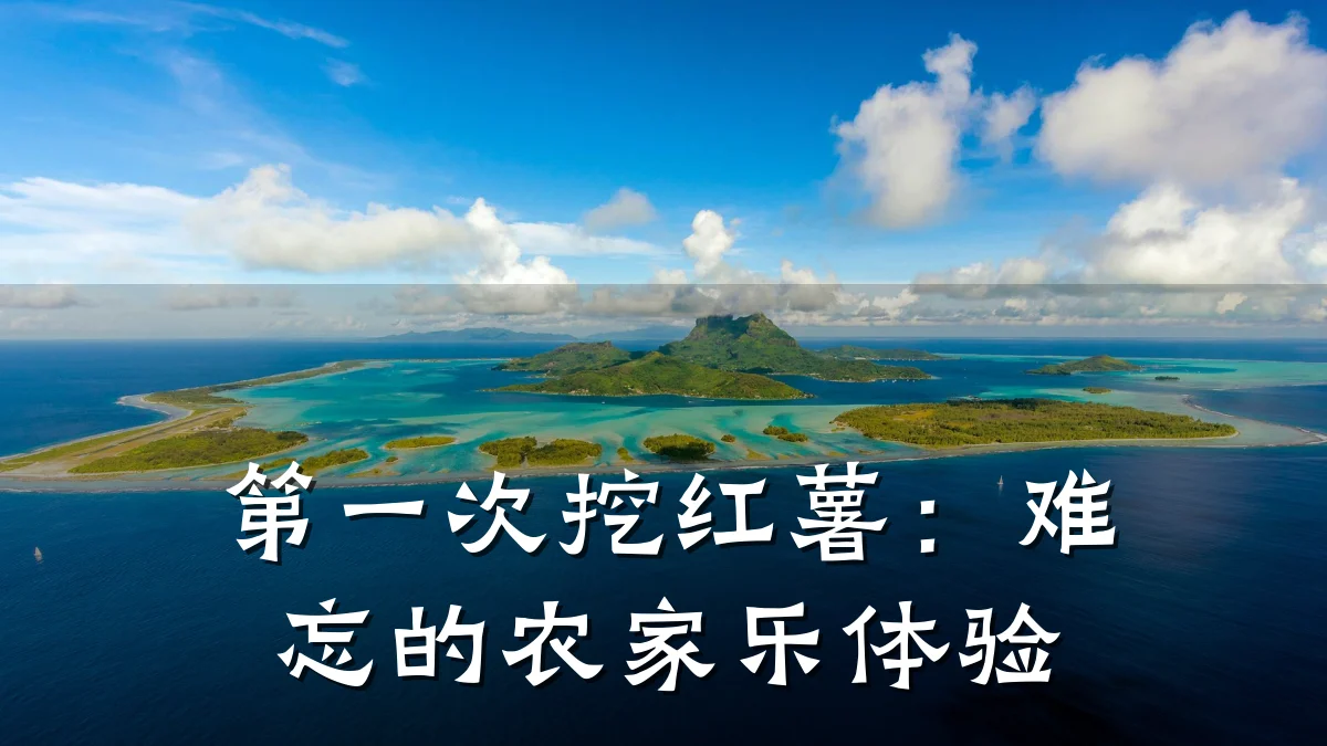 第一次挖红薯:难忘的农家乐体验