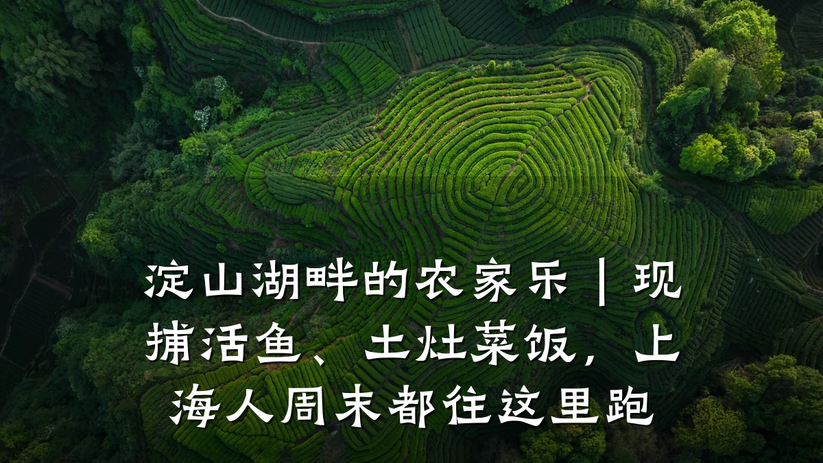 淀山湖畔的农家乐|现捕活鱼、土灶菜饭,上海人周末都往这里跑