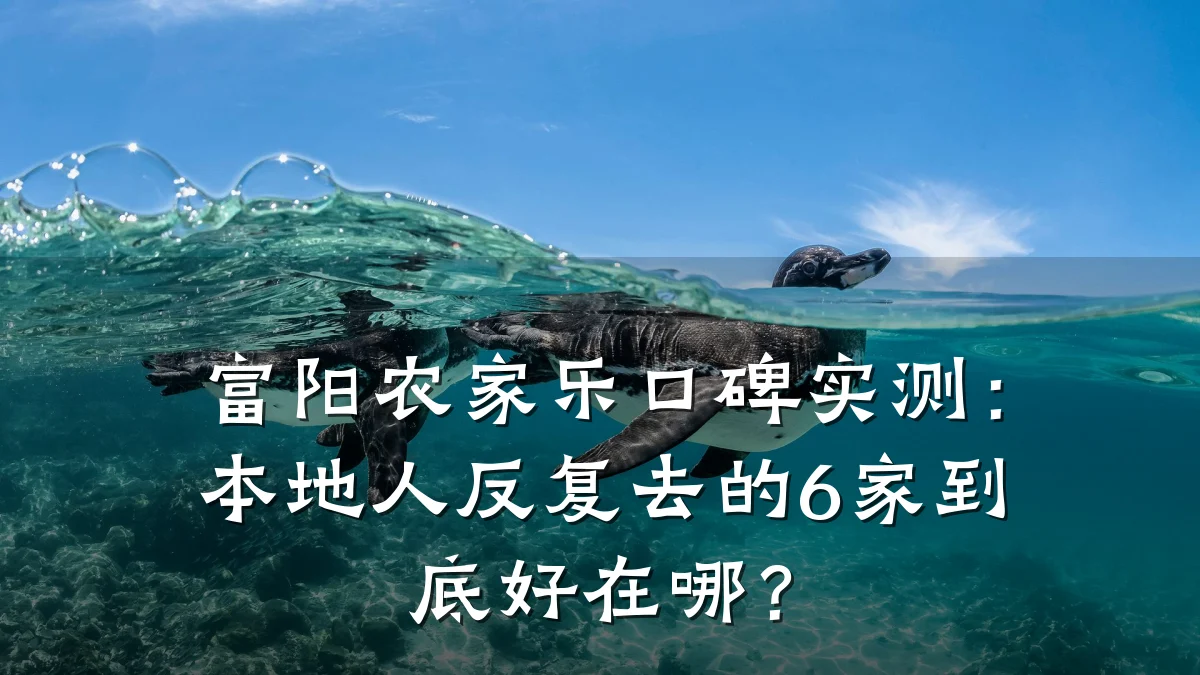 富阳农家乐口碑实测:本地人反复去的6家到底好在哪?