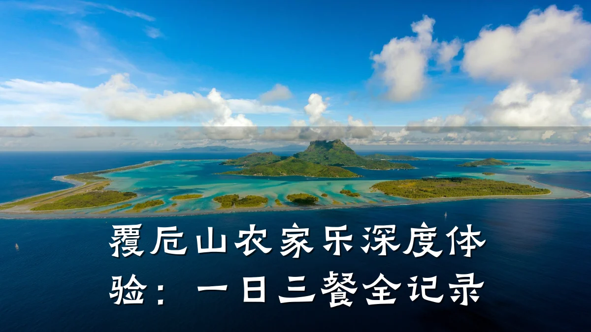 覆卮山农家乐深度体验:一日三餐全记录
