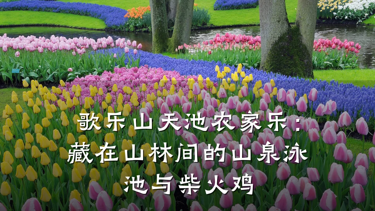 歌乐山天池农家乐:藏在山林间的山泉泳池与柴火鸡