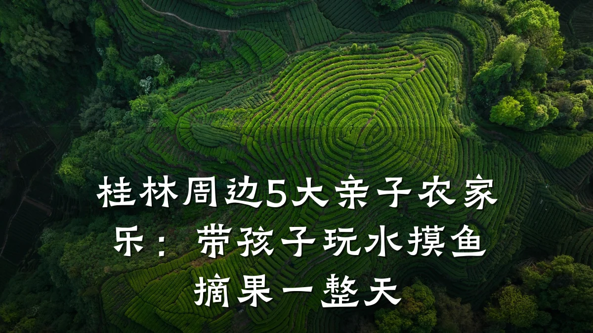 桂林周边5大亲子农家乐:带孩子玩水摸鱼摘果一整天