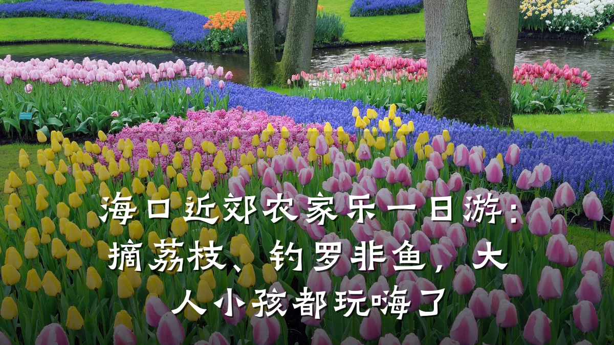 海口近郊农家乐一日游:摘荔枝、钓罗非鱼,大人小孩都玩嗨了