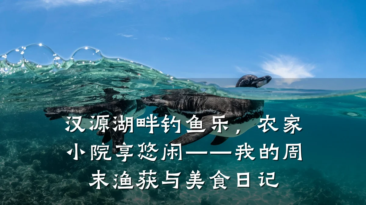 汉源湖畔钓鱼乐,农家小院享悠闲——我的周末渔获与美食日记