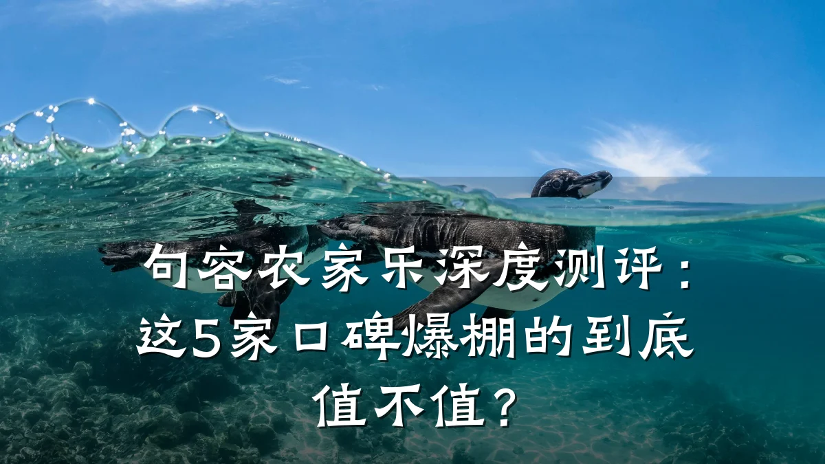 句容农家乐深度测评:这5家口碑爆棚的到底值不值?