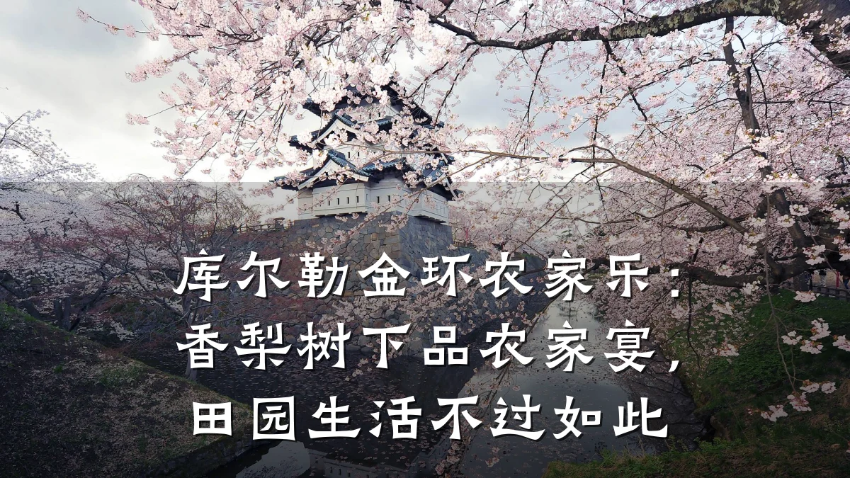 库尔勒金环农家乐:香梨树下品农家宴,田园生活不过如此