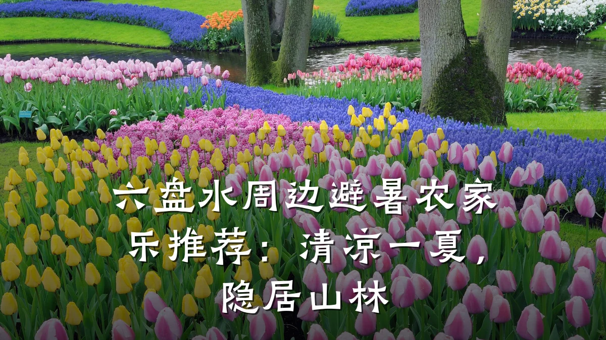 六盘水周边避暑农家乐推荐:清凉一夏,隐居山林