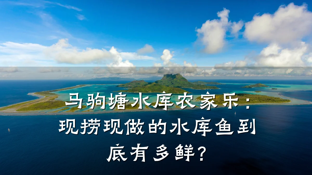 马驹塘水库农家乐:现捞现做的水库鱼到底有多鲜?
