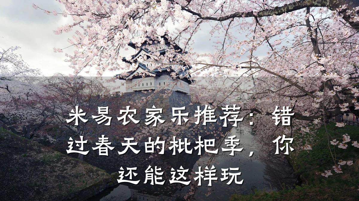 米易农家乐推荐:错过春天的枇杷季,你还能这样玩