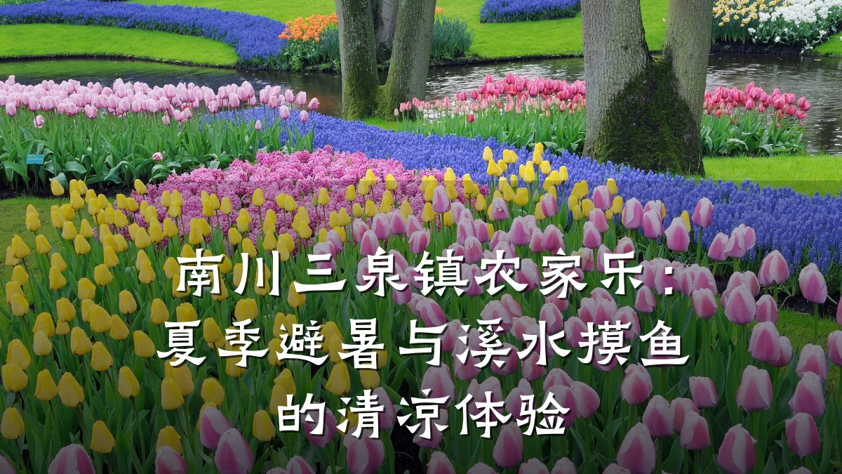 南川三泉镇农家乐:夏季避暑与溪水摸鱼的清凉体验