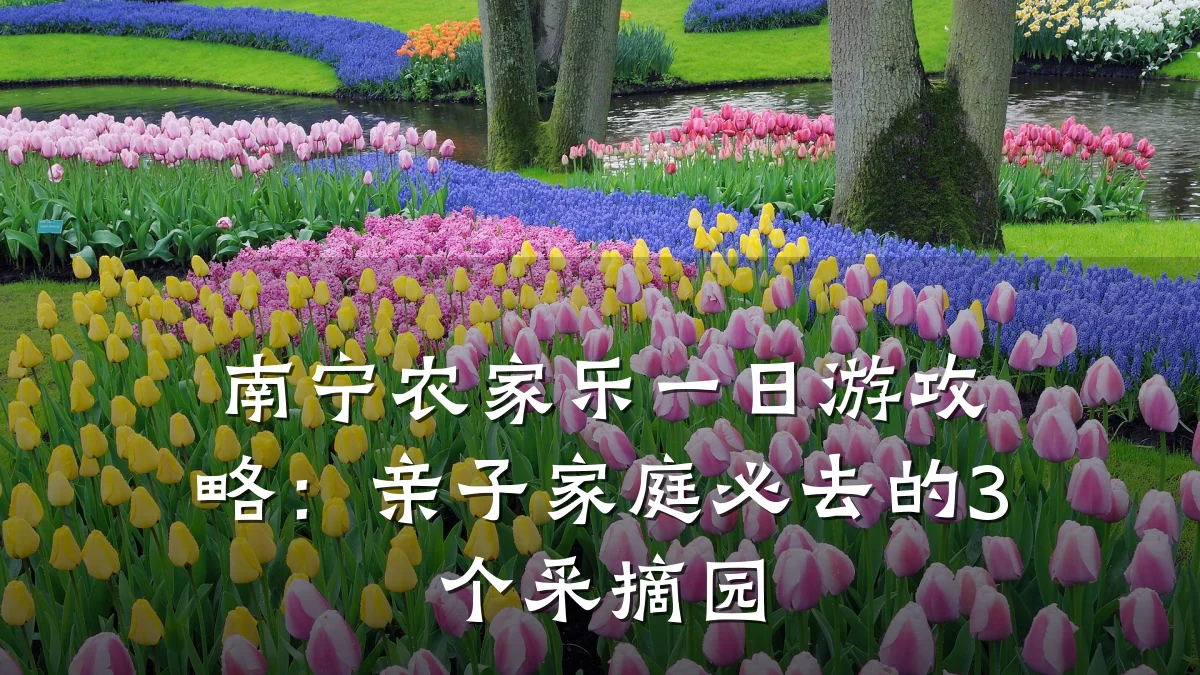 南宁农家乐一日游攻略:亲子家庭必去的3个采摘园