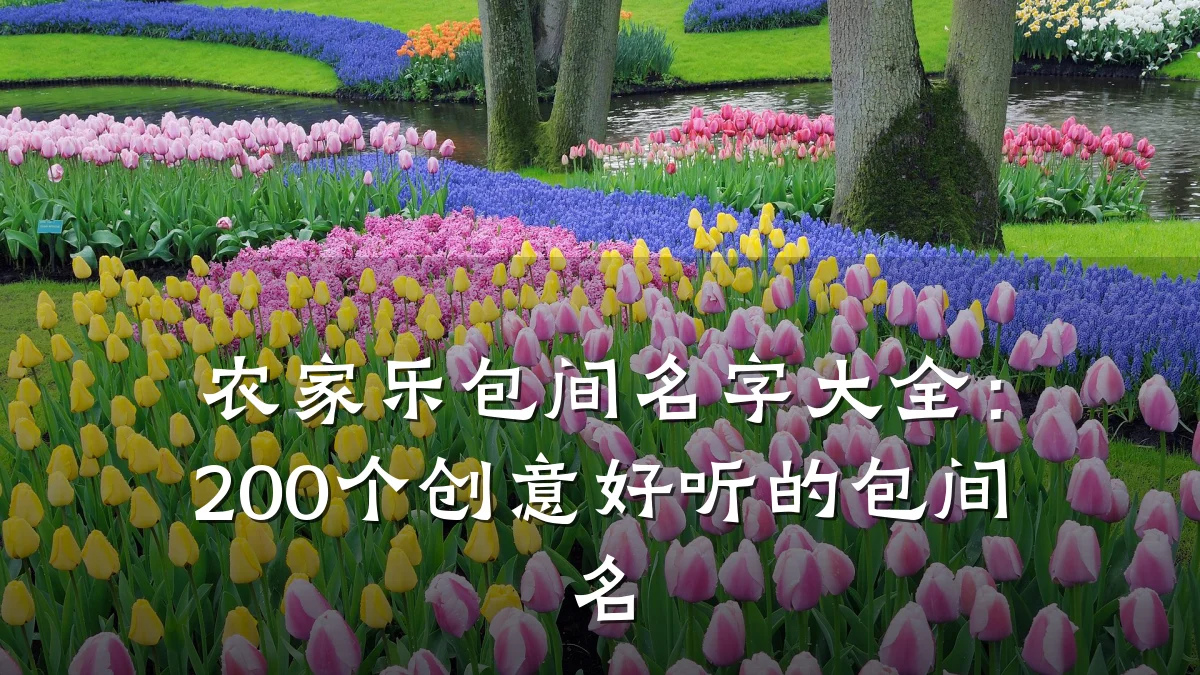 农家乐包间名字大全:200个创意好听的包间名