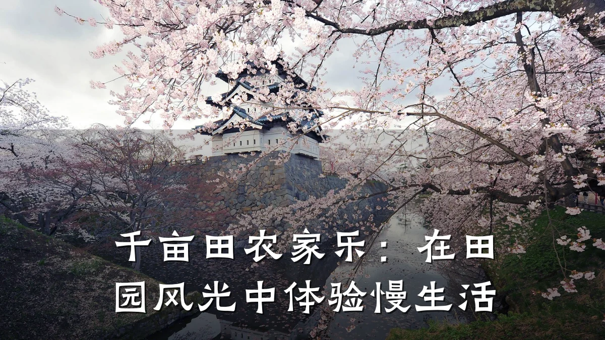 千亩田农家乐:在田园风光中体验慢生活