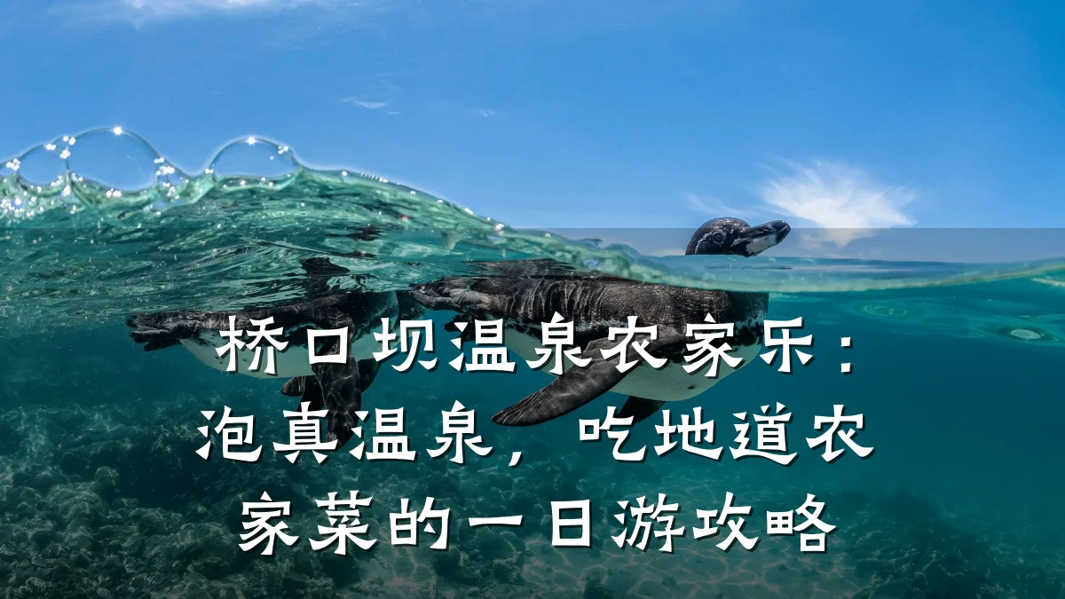 桥口坝温泉农家乐:泡真温泉,吃地道农家菜的一日游攻略