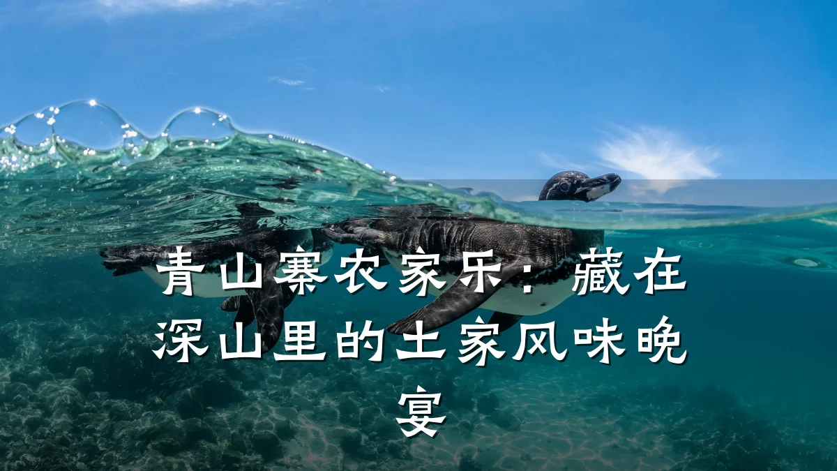青山寨农家乐:藏在深山里的土家风味晚宴
