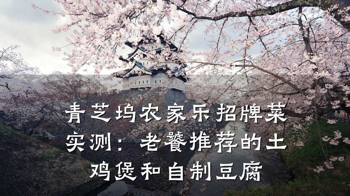 青芝坞农家乐招牌菜实测:老饕推荐的土鸡煲和自制豆腐