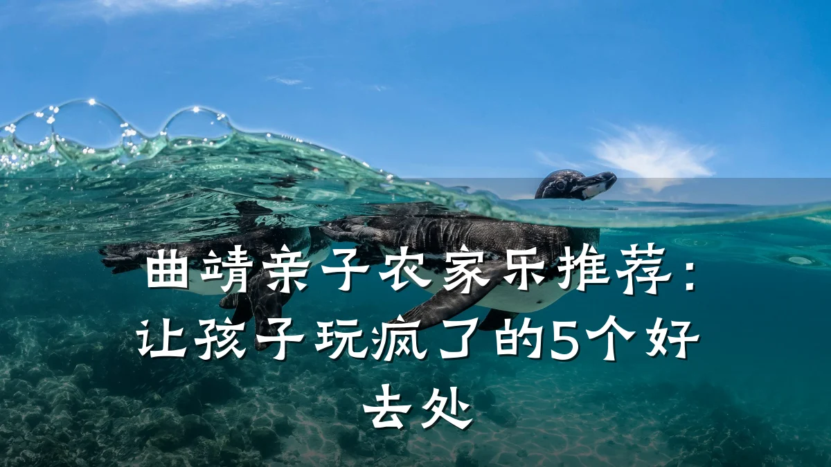 曲靖亲子农家乐推荐:让孩子玩疯了的5个好去处