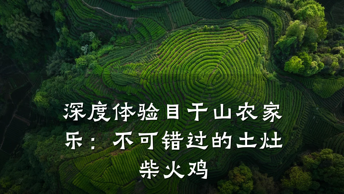 深度体验目干山农家乐:不可错过的土灶柴火鸡