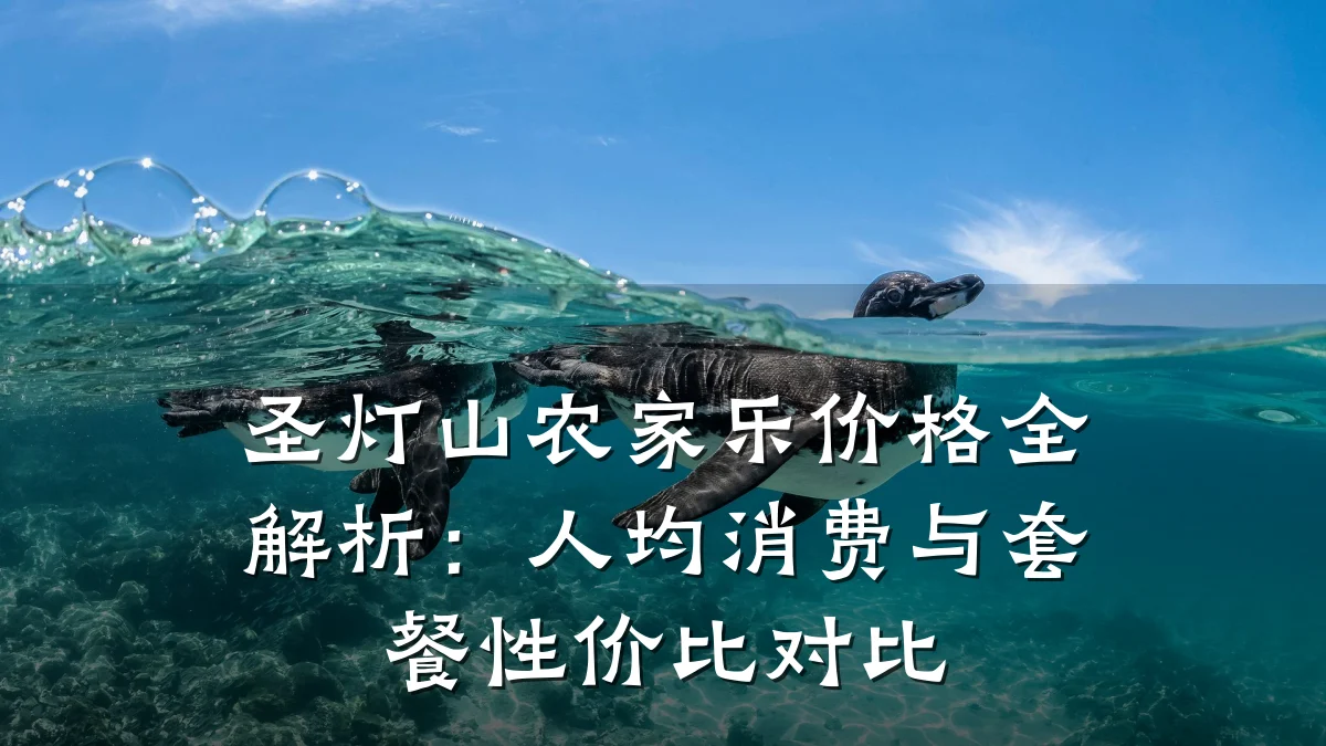 圣灯山农家乐价格全解析:人均消费与套餐性价比对比