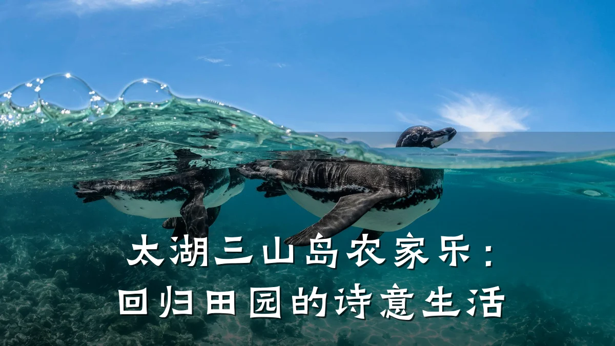 太湖三山岛农家乐：回归田园的诗意生活